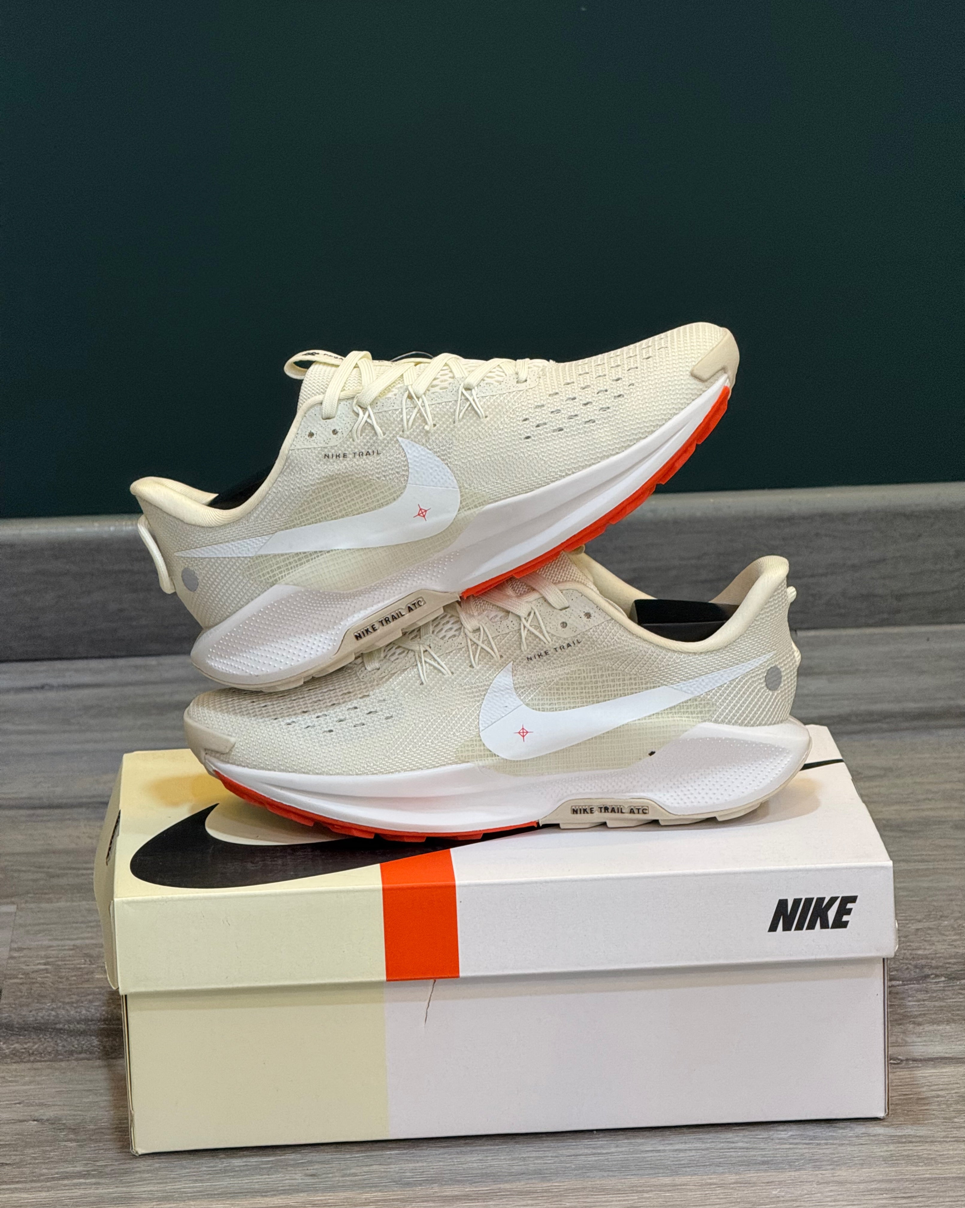 NIKE PEGASUS TRAIL 5