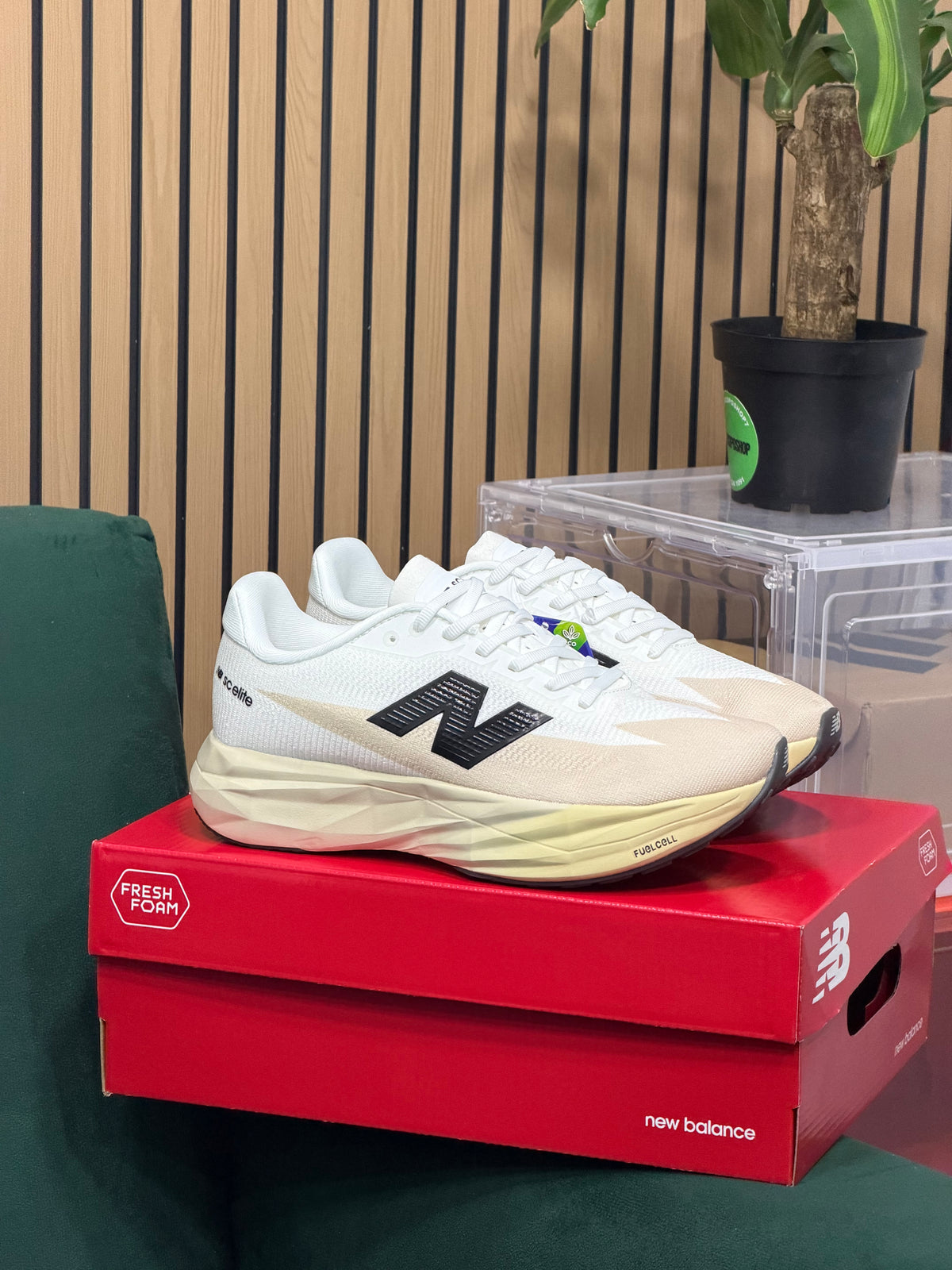 NEW BALANCE SC