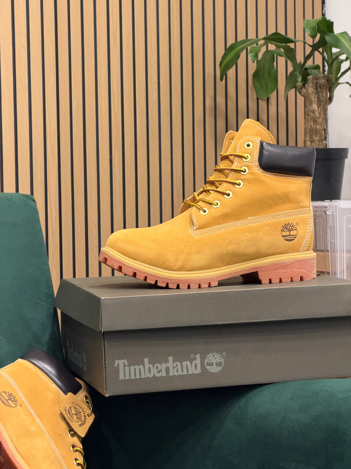 TIMBERLAND