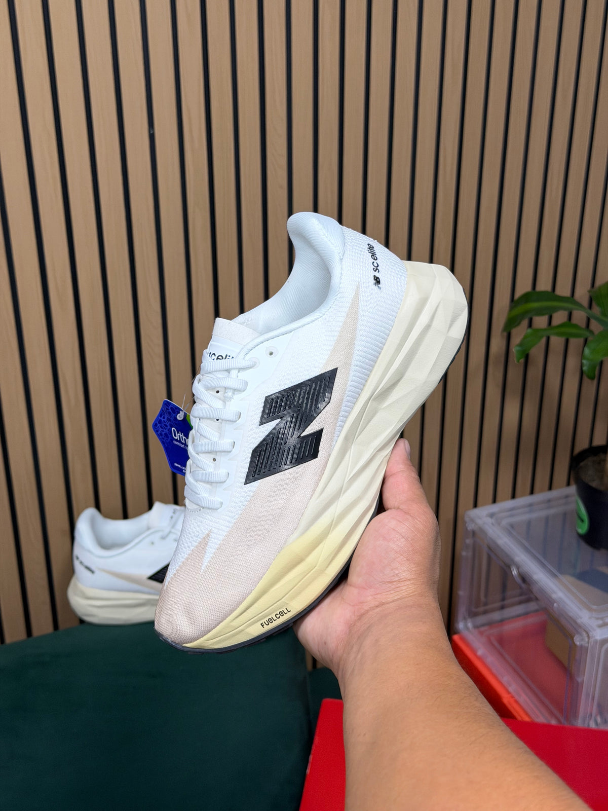 NEW BALANCE SC