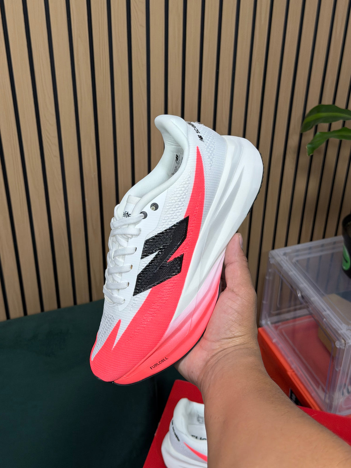 NEW BALANCE SC