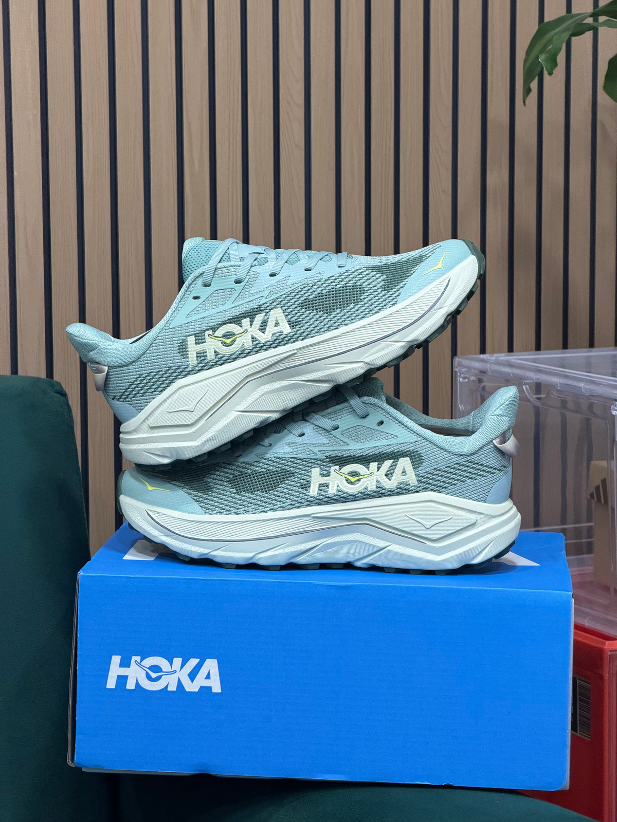 HOKA CHALLENGER 8