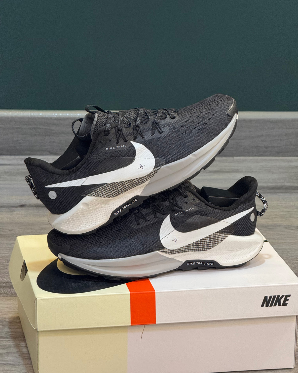 NIKE PEGASUS TRAIL 5